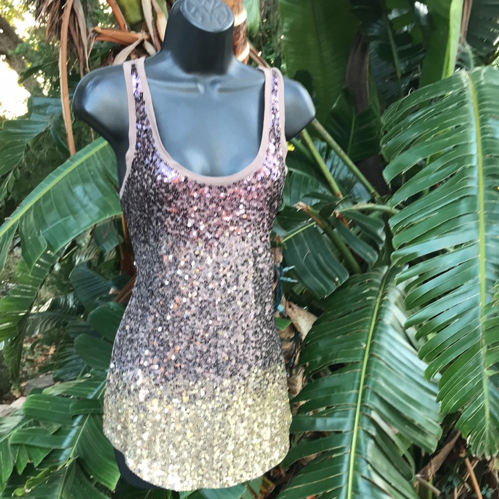 EXpress ombre sequin tank top